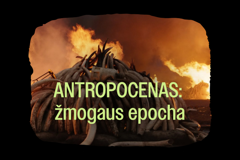 Renginio iliustracija