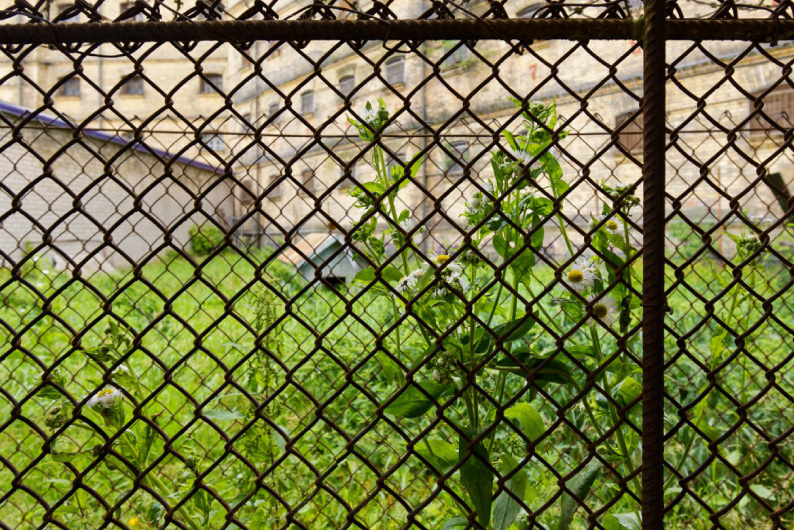 Renginio iliustracija