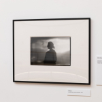In the photographs of Levas Žiriakovas – “Creators”