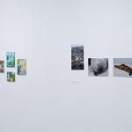 National Library Staff Art Exhibition III