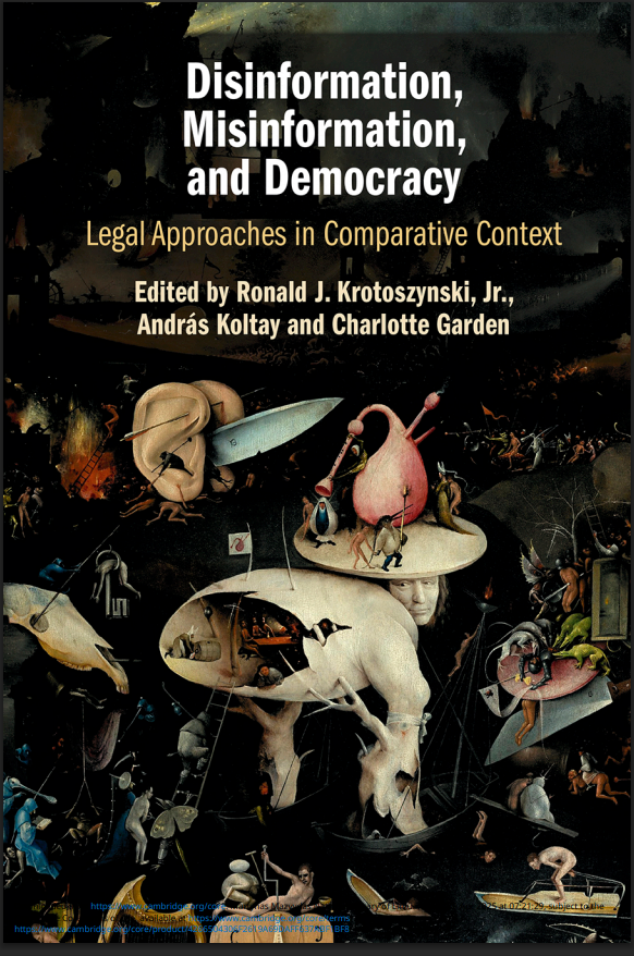 Disinformation Information and Democracy