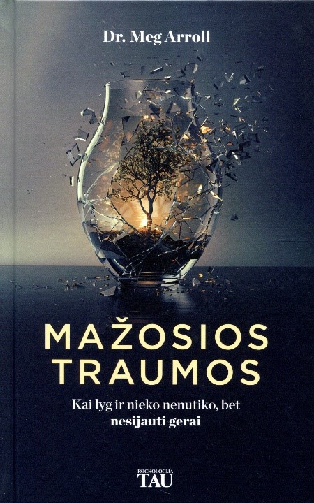 Mazosios traumos